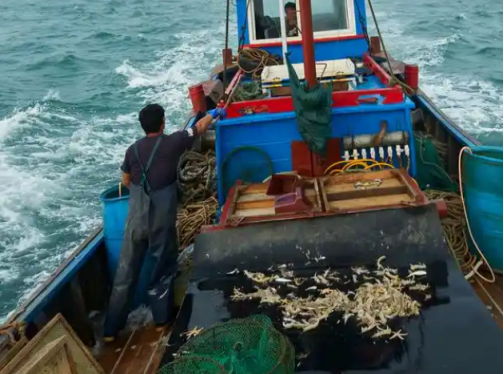 三亚渔民出海打渔，竟捞出一个铁笼，打开发现里面竟坐了个女人